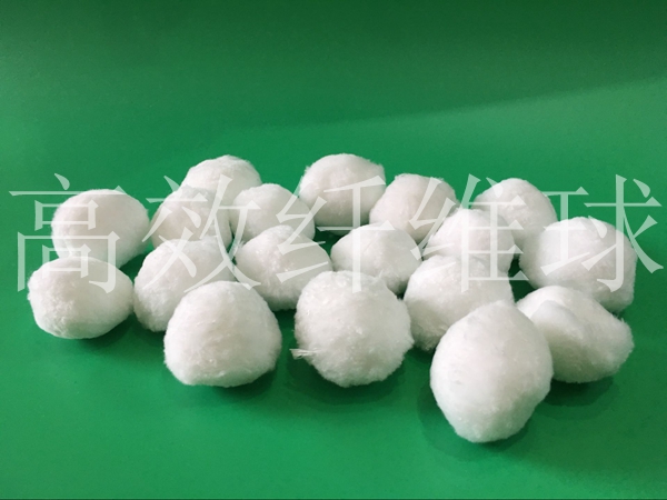 �����w�S��Ę�(g��u)��