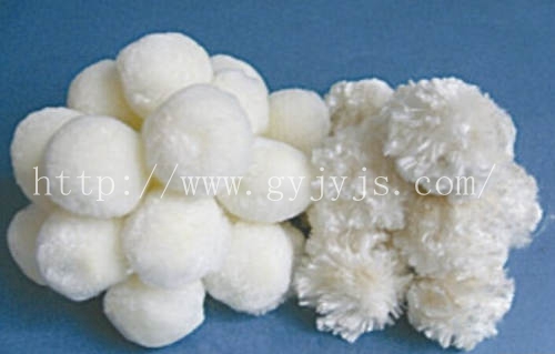 �w�S��V��