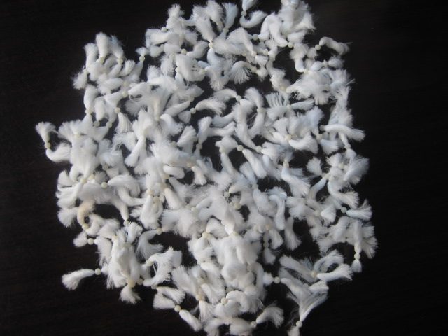 ����ʽ�w�S�V��